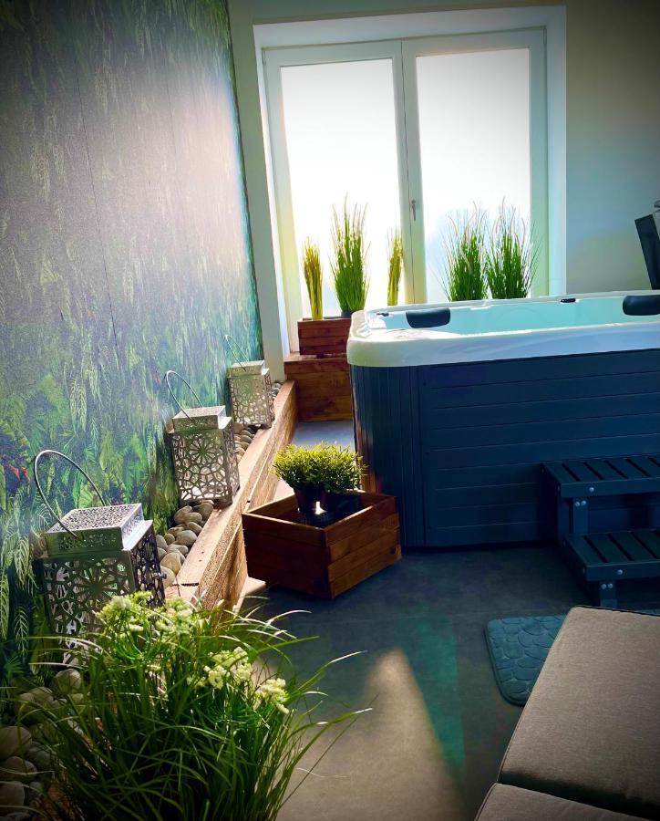 Le Manoir Des Haies Spa Les Champs-Géraux Εξωτερικό φωτογραφία