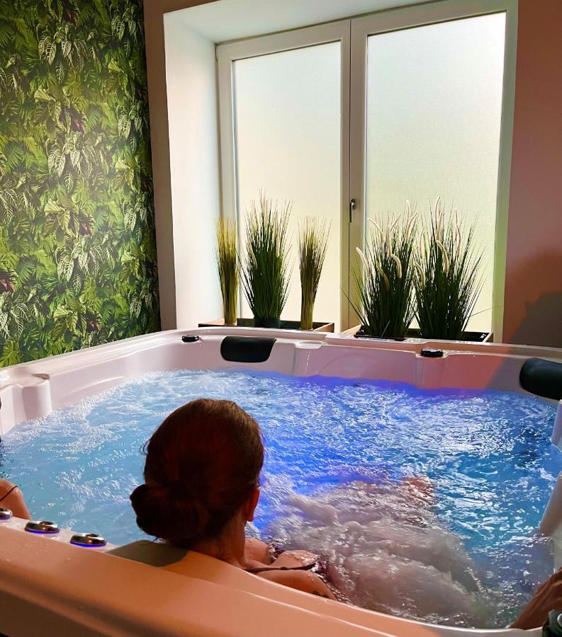 Le Manoir Des Haies Spa Les Champs-Géraux Εξωτερικό φωτογραφία